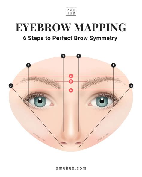 Eyebrow Mapping Template