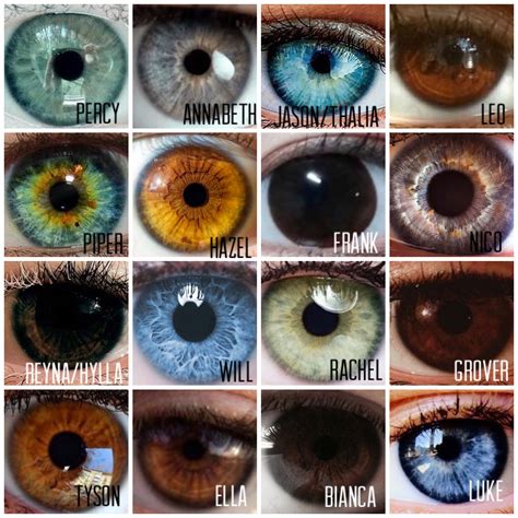 Eyes Color Chart