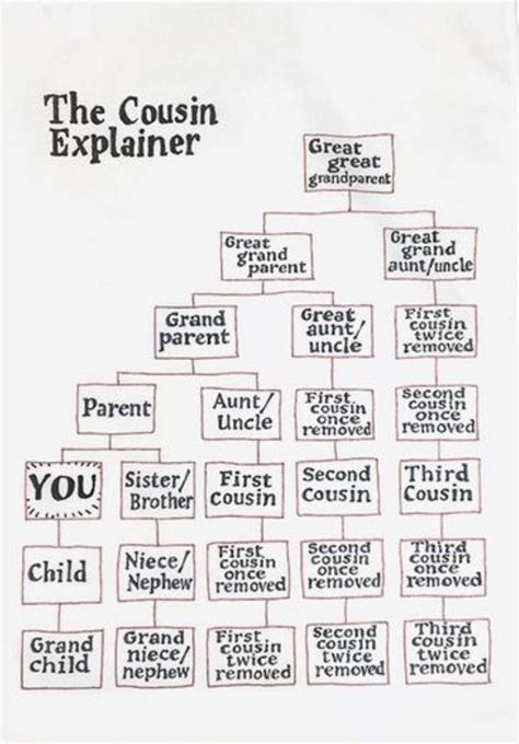 Family Tree Explanation Chart