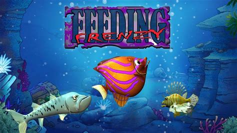 Feeding Frenzy Walkthrough