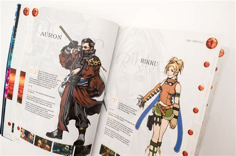 Ffx Walkthrough Book