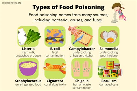 Food Poisoning Types Chart