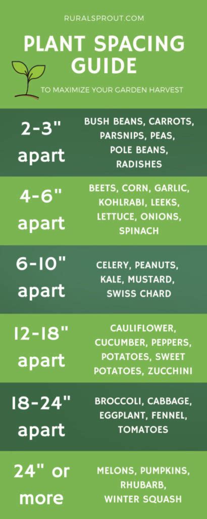 Garden Row Spacing Chart