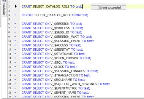 Grant Select Catalog Role To User Name