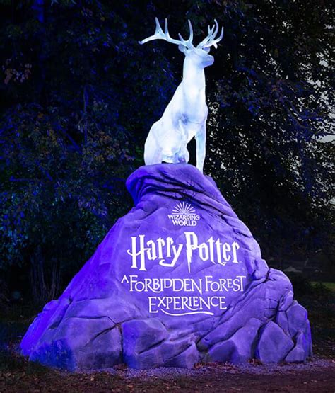 Harry Potter Forbidden Forest Walkthrough