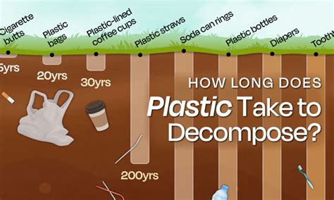 How Long Does It Take To Do A Walkthrough