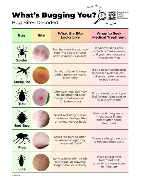 Insect Bites Chart
