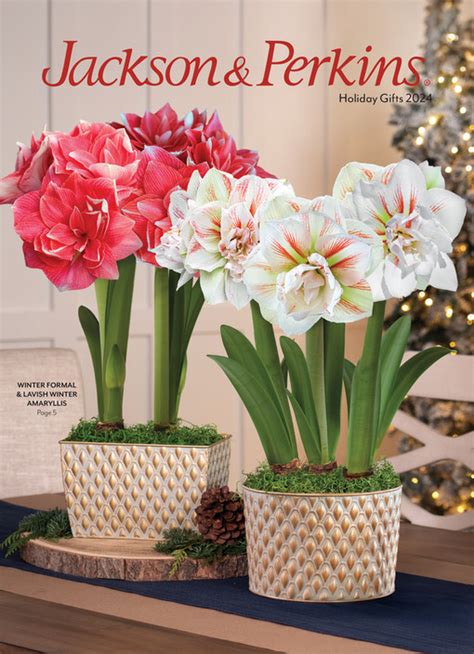 Jackson Perkins Catalogue