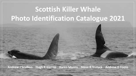 Killer Whale Identification Catalogue