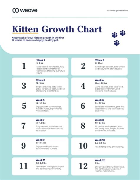Kitten Weight Chart By Week