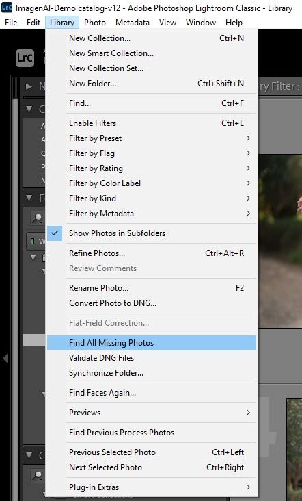 Lightroom Catalog Missing Photos