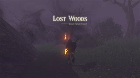 Lost Woods Walkthrough Totk