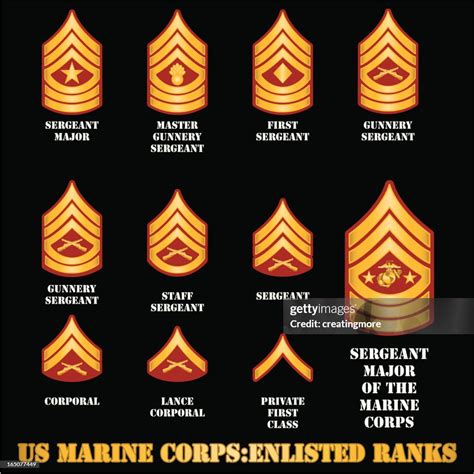 Marine Corps Rank Chart