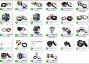 Mechanical Seal Ebara Pump Catalog