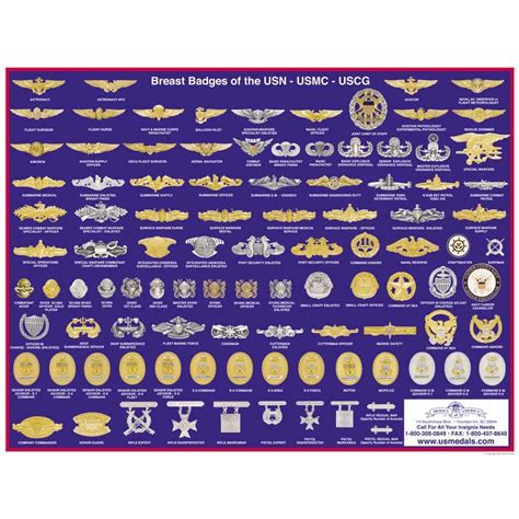Navy Warfare Pins Chart