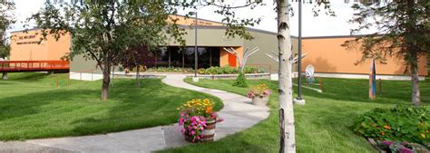 Noel Wien Library Catalog