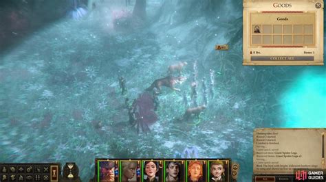 Pathfinder Kingmaker Other World Walkthrough