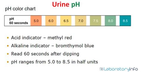 Pee Urine Ph Level Chart