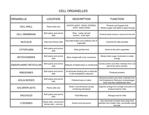 Plant Cell Functions Chart