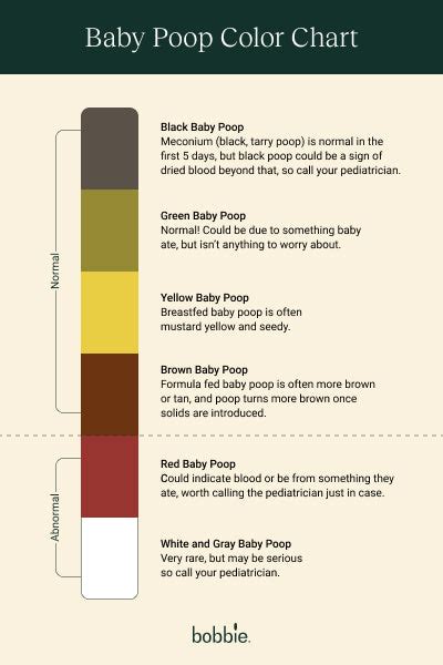 Poop Chart For Babies