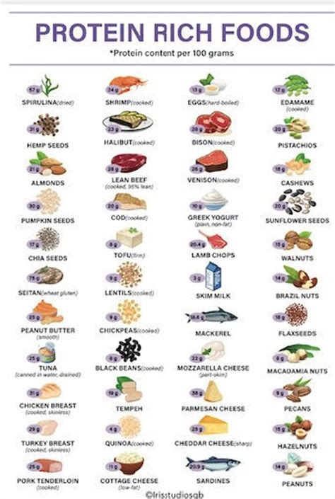 Rich Protein Diet Chart