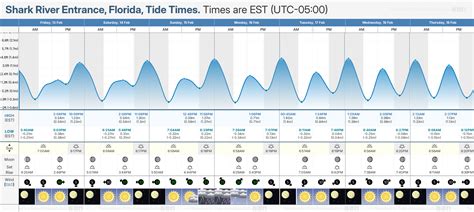 Shark River Inlet Tide Chart