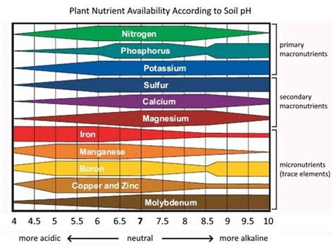 Soil Ph Nutrient Availability Chart