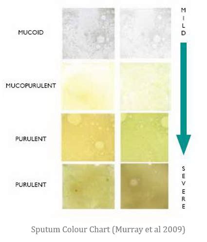 Sputum Colour Chart Nhs