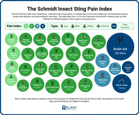 Sting Pain Index Chart