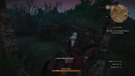 The Witcher Walkthrough Ign