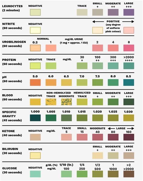 Urine Dip Results Chart