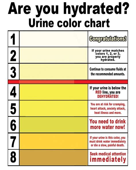 Urine Pee Chart