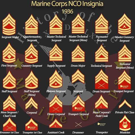 Usmc Rank Insignia Chart
