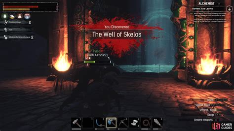Well Of Skelos Walkthrough