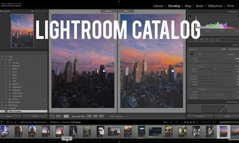 What Does Saving Catalog Do In Lightroom